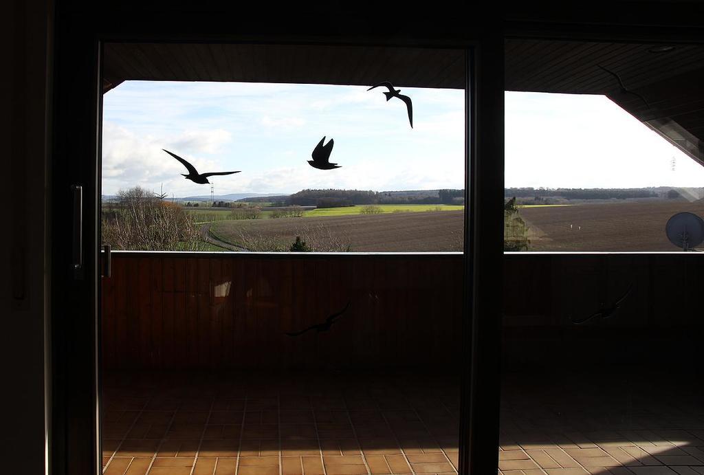 Ferienwohnung Panoramaweg Sohren Exteriör bild
