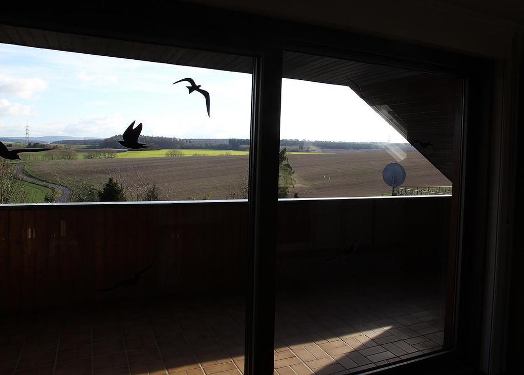 Ferienwohnung Panoramaweg Sohren Exteriör bild